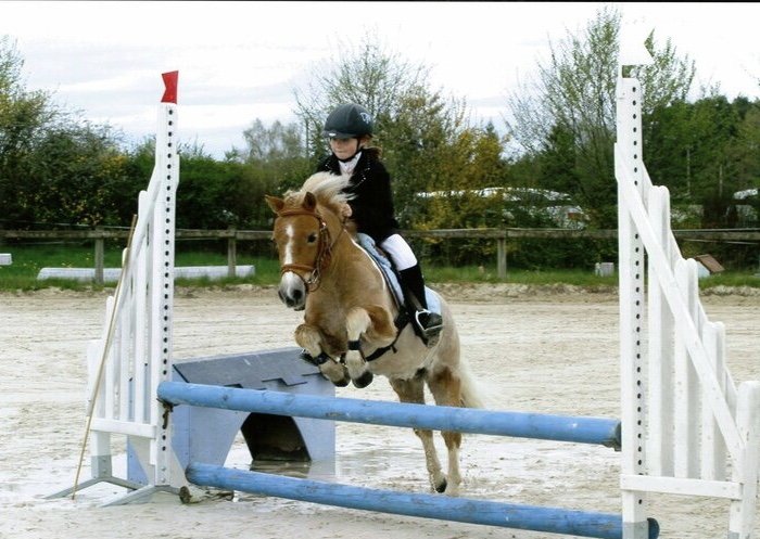 Les Ecuries de la Forêt - photo 3