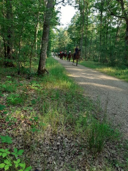 Centre équestre Le Lugère - photo 2