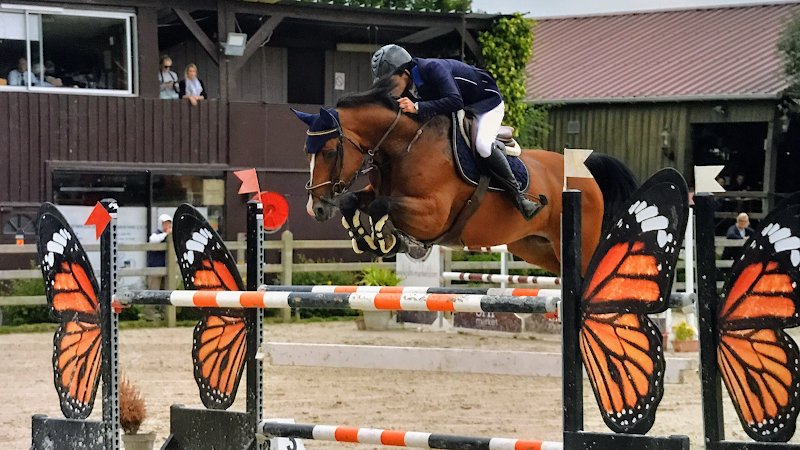 Centre équestre de la Vallée - photo 1