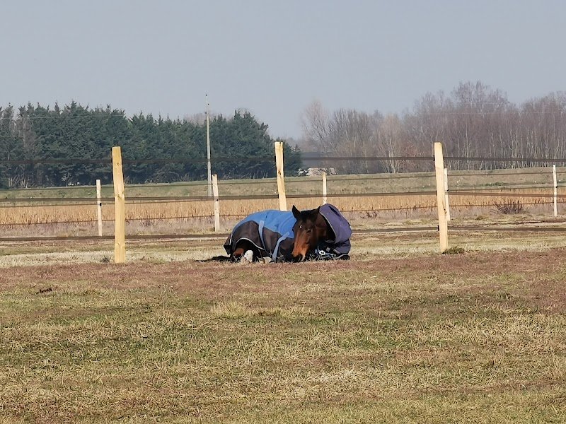 Écurie de la Citadelle - photo 2
