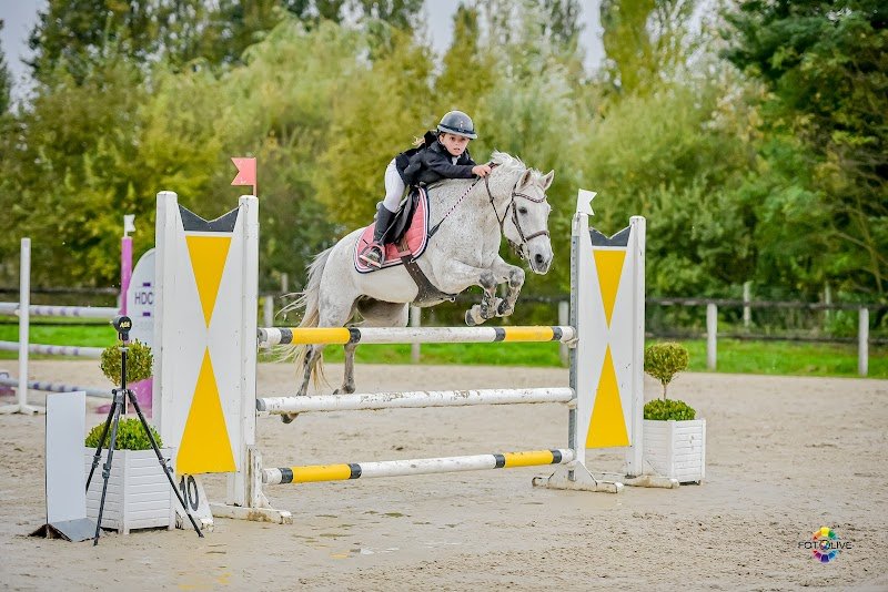 Ecurie des sables - photo 1