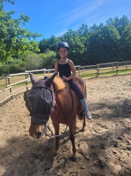 Ecurie des sables - photo 3