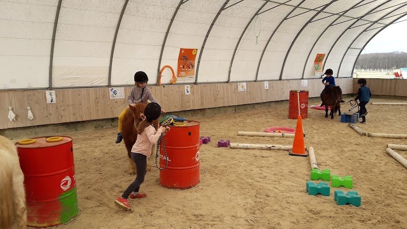 HARAS D AMELONE C E LES JONCS - photo 2