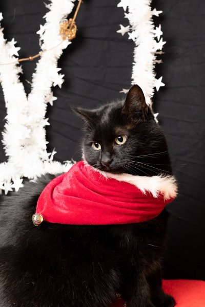 Pension de la Vallée - photo 1