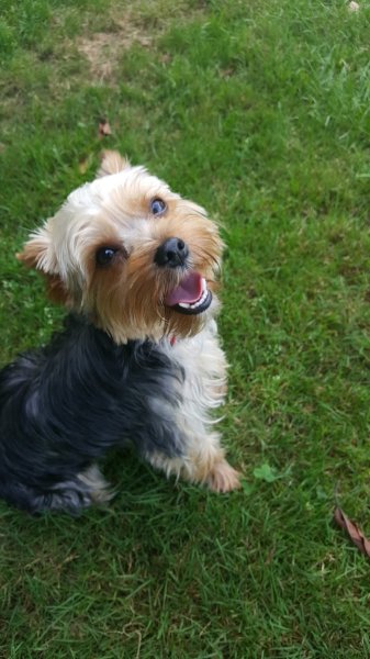 Pension de la Vallée - photo 2