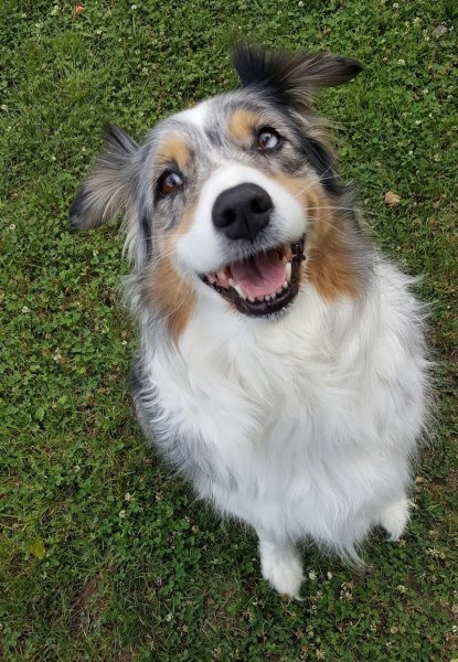 Pension de la Vallée - photo 3