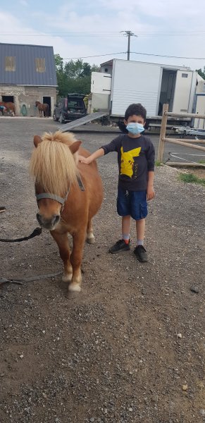 Cavalier de Maison Rouge