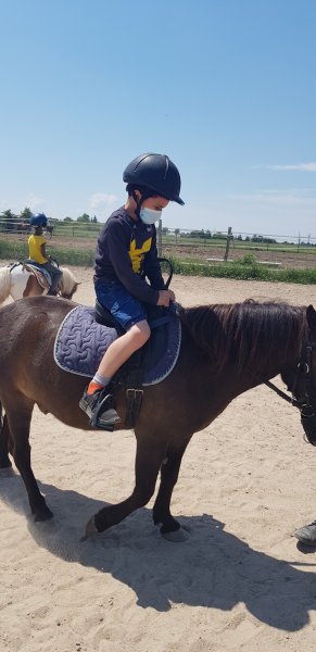 Cavalier de Maison Rouge - photo 2