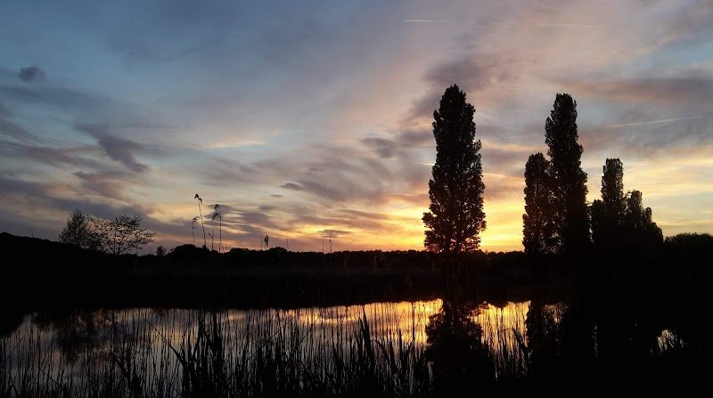 Les Écuries du Marais - photo 1