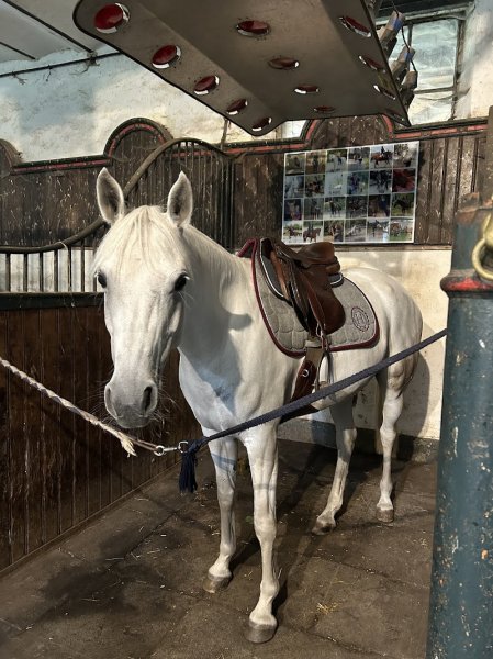 Les Écuries du Marais - photo 2