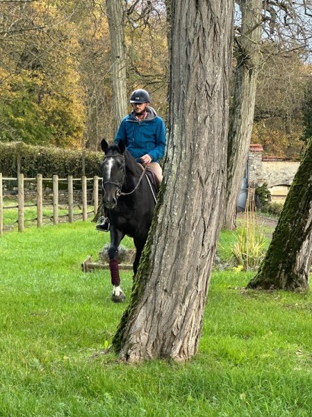 Haras des cordeliers - photo 2