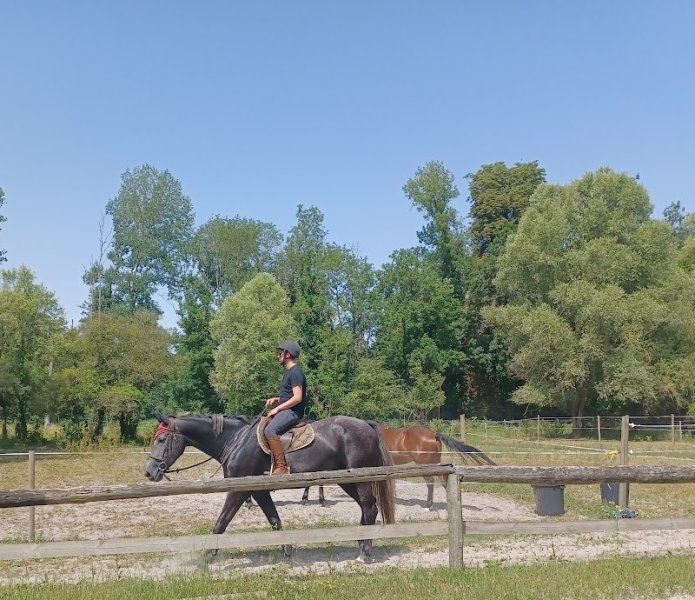 Centre Equestre de Gironville sur Essonne - photo 3