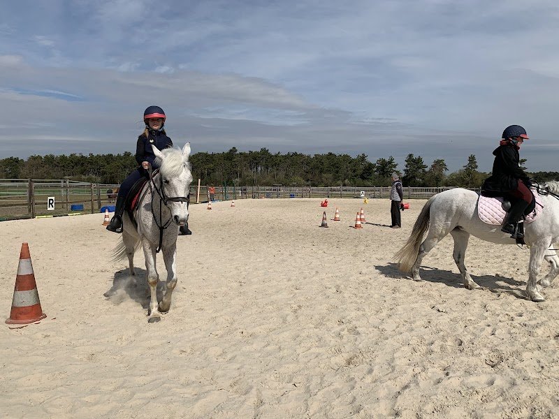 Le Haras De M.j. - photo 1