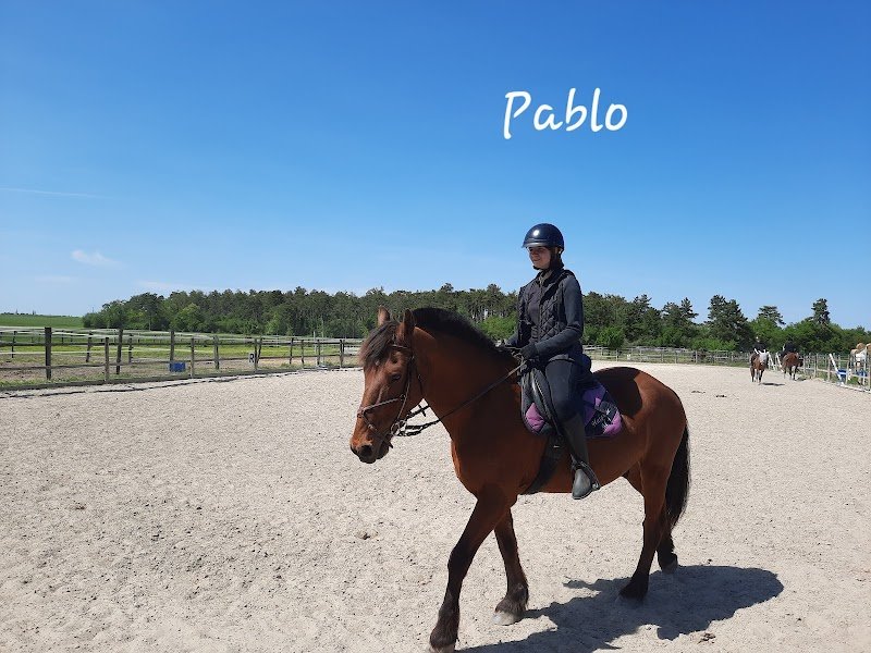 Le Haras De M.j. - photo 2