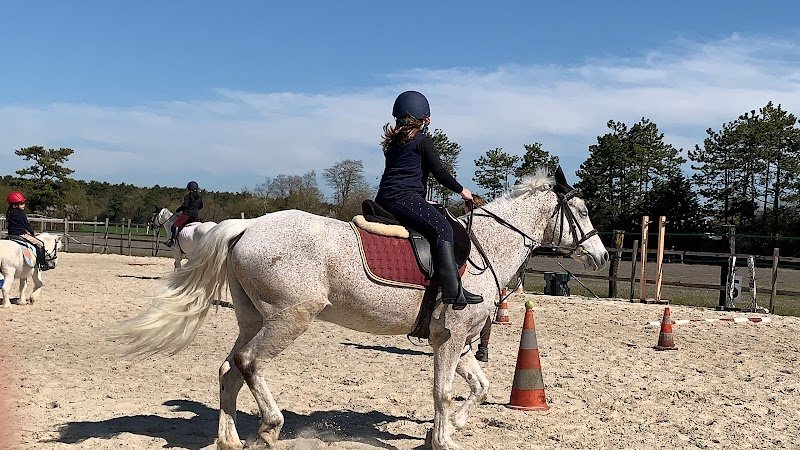 Le Haras De M.j. - photo 3