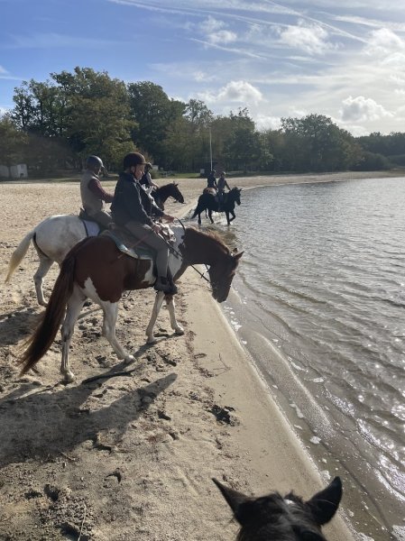 Ferme Equestre de la Boue - photo 2