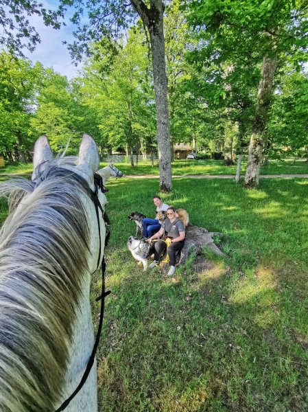 Ferme Equestre de la Boue - photo 3