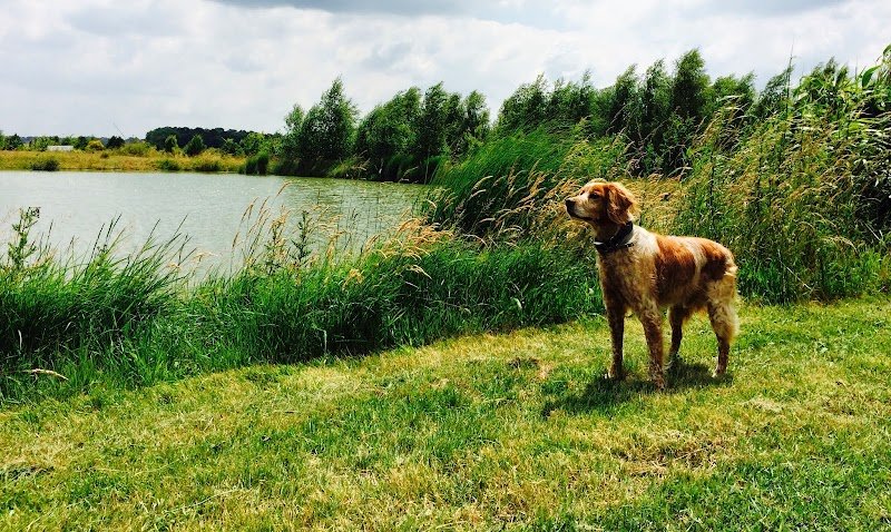 Pension des Trois Chênes - photo 1