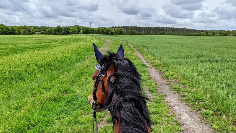 CENTRE EQUESTRE PONEY CLUB DE GOUMAT