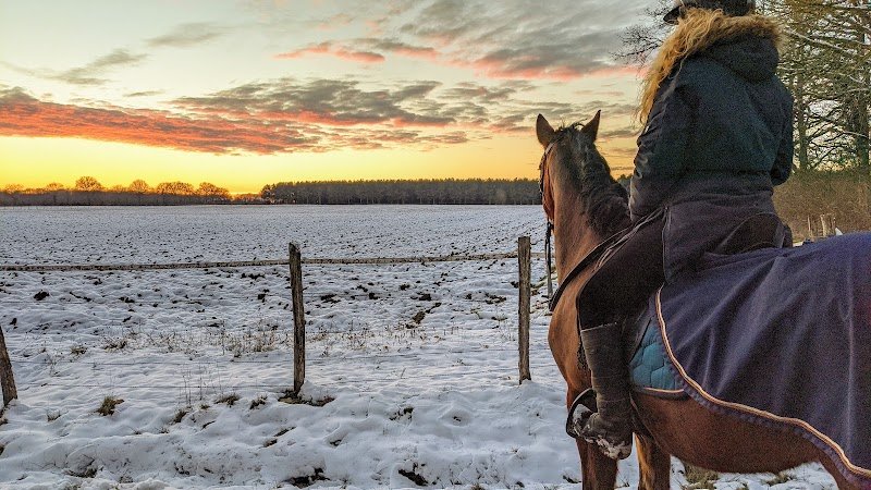CENTRE EQUESTRE PONEY CLUB DE GOUMAT - photo 2