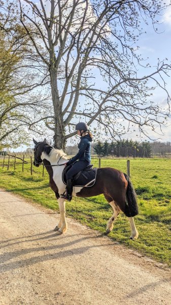 CENTRE EQUESTRE PONEY CLUB DE GOUMAT - photo 3