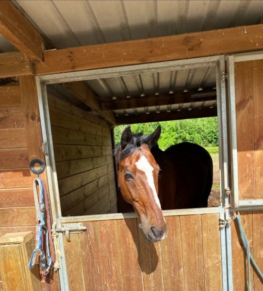 La Coulee Aux Chevaux - photo 2