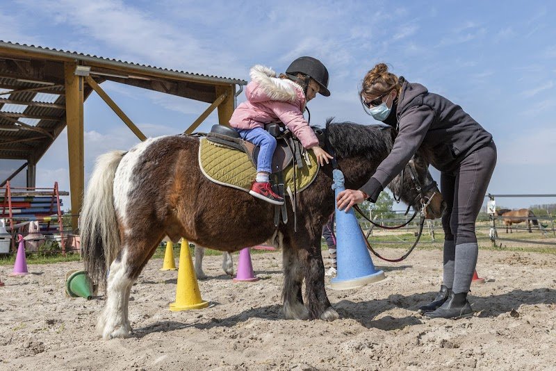 Poney Club des 5 Arpents - photo 1