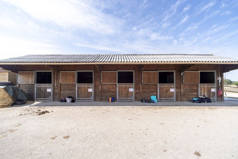 Poney Club des 5 Arpents - photo 2