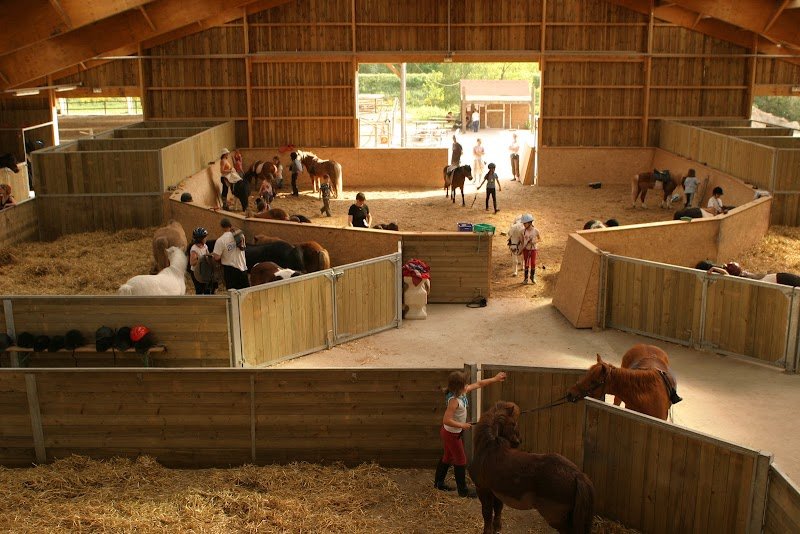 Centre Equestre Poney-Club d'Orléans la Source - photo 3