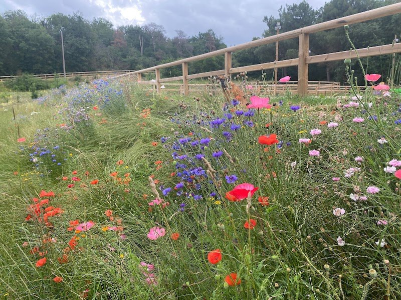 Haras de Vézu - photo 2