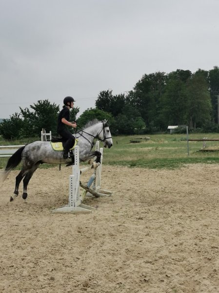 Association Equestre Les Poneys - photo 3