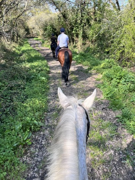 Les Ecuries des Parcs - photo 1