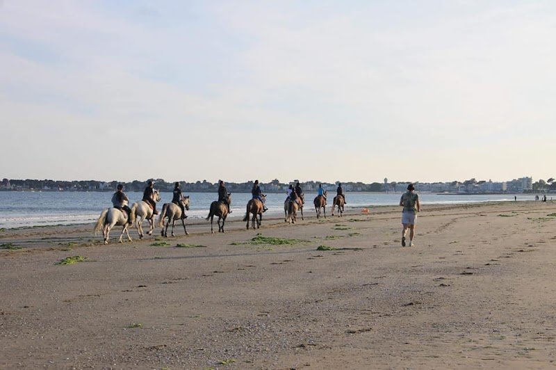 Centre Équestre de La Baule - photo 1
