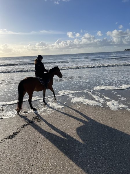 Centre Équestre de La Baule - photo 2