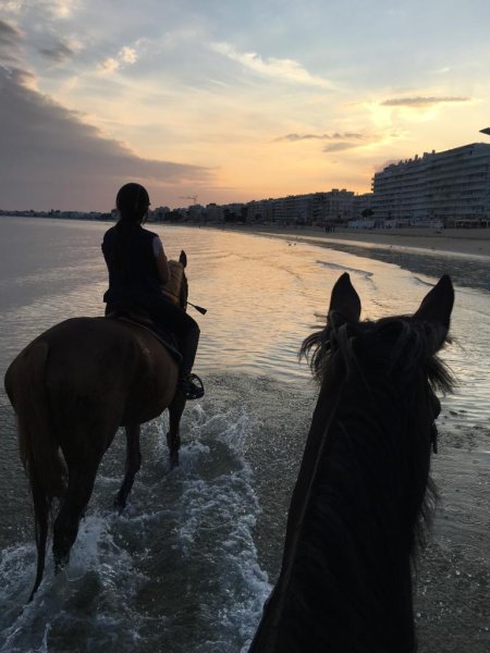 Centre Équestre de La Baule - photo 3