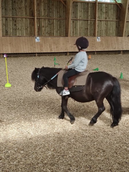 Manège des Platanes - photo 1