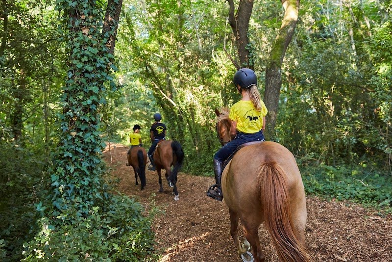 Manège des Platanes - photo 2