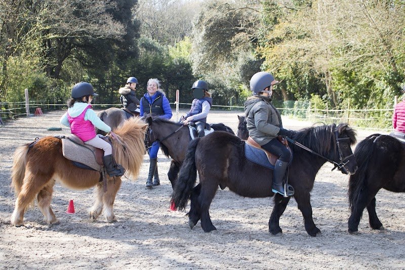 Manège des Platanes - photo 3