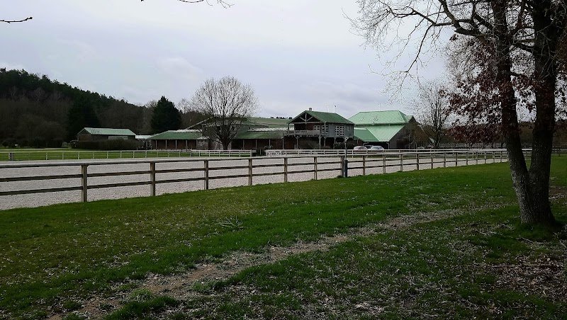 Schotsmans Bernard Chevaux de sport - photo 1