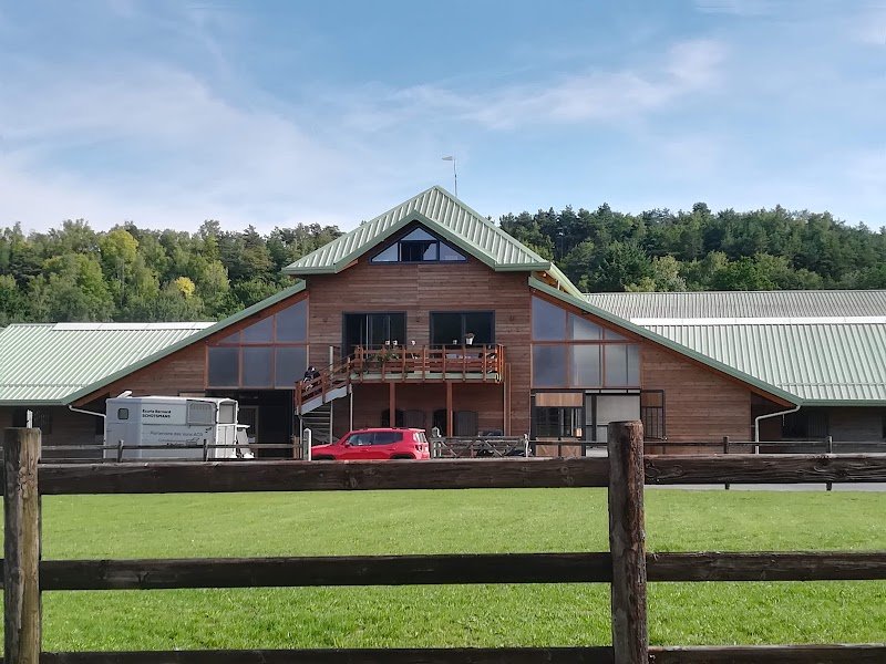 Schotsmans Bernard Chevaux de sport - photo 2