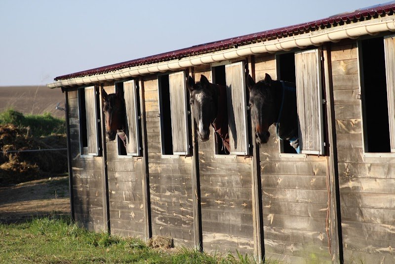 Écurie Hanras - photo 3