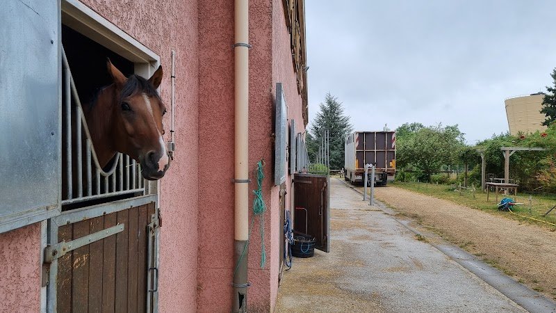 Haras du Croc Marin - photo 3