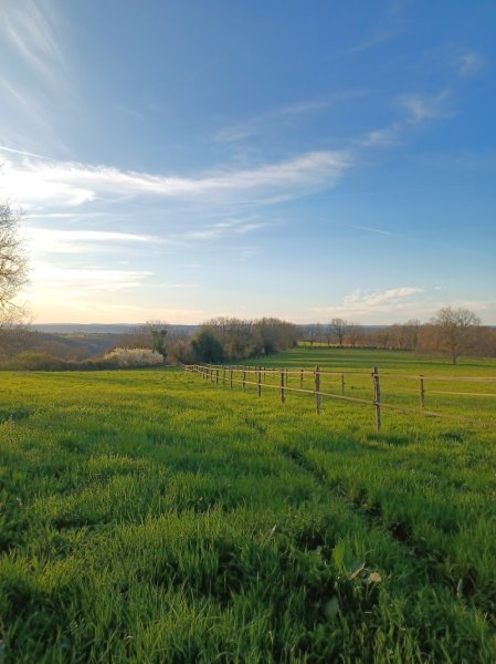 Haras de BELLEGARDE - photo 1