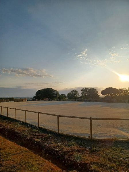 Haras de BELLEGARDE - photo 2