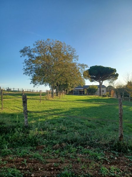 Haras de BELLEGARDE - photo 3