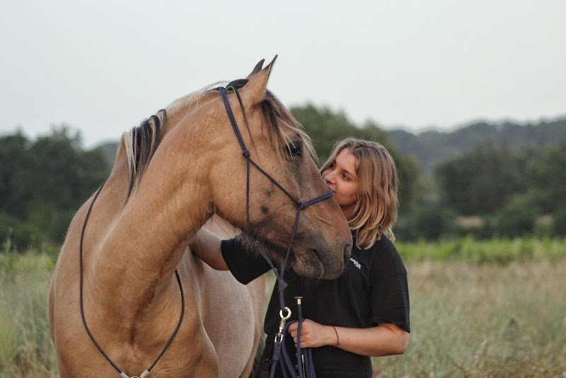 Ecurie O'Way - Comportementaliste équin
