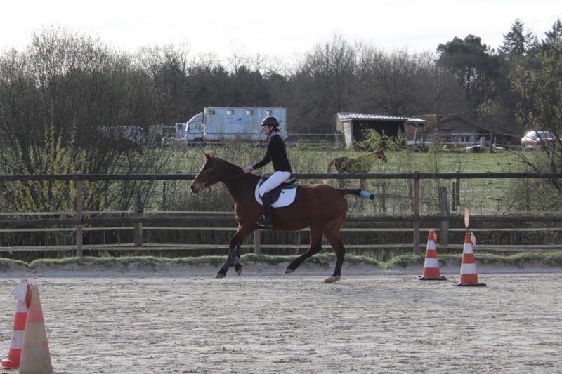 Centre équestre Domaine du val