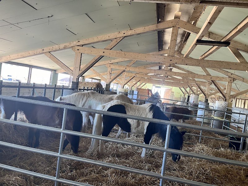 Centre équestre Domaine du val - photo 3