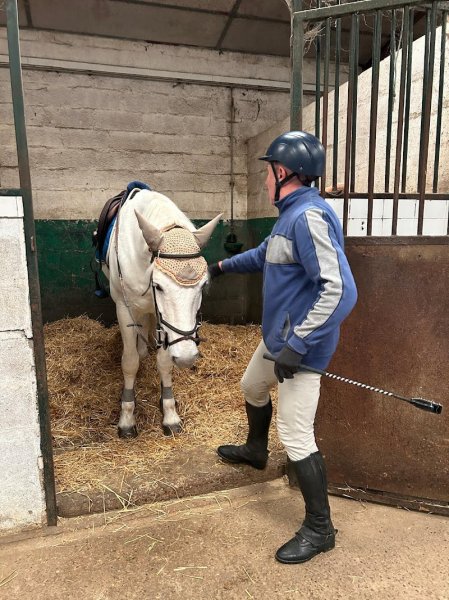 Haras du Petit Gatinais - photo 2