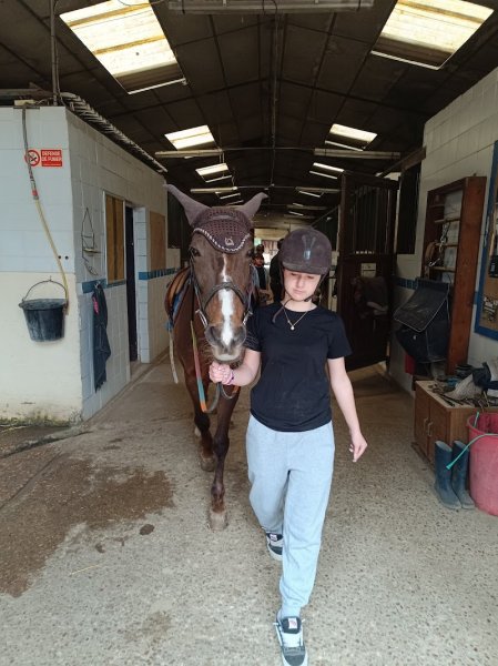 Haras du Petit Gatinais - photo 3